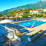 Bougainvillea * Fethiye