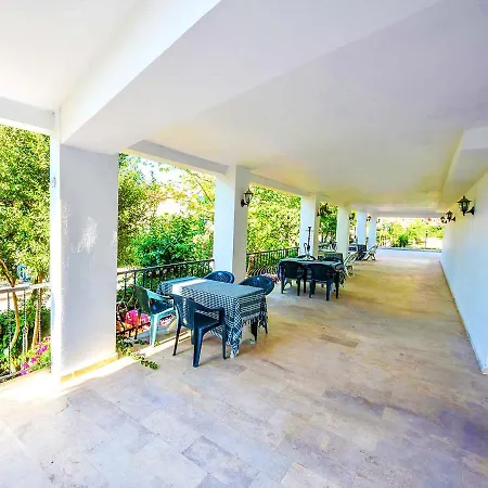 Bougainvillea * Fethiye