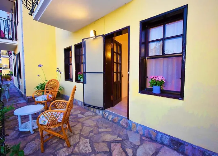 Bougainvillea فتحية