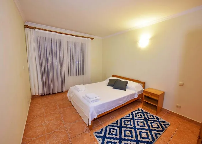 Bougainvillea فتحية