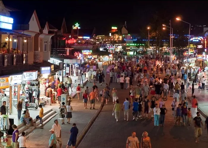 Bougainvillea * فتحية