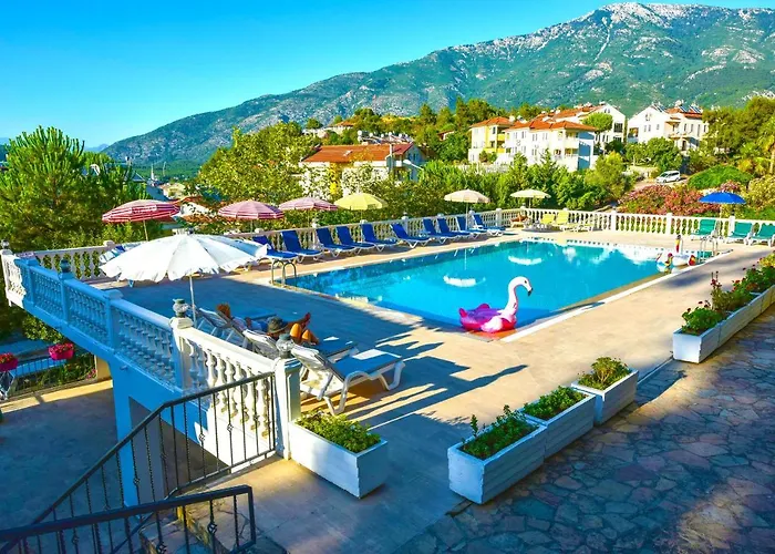 Bougainvillea * فتحية