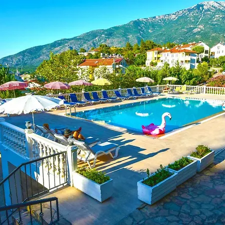 Bougainvillea * Fethiye